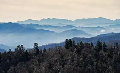 smoky mountains melting snow and trees in front