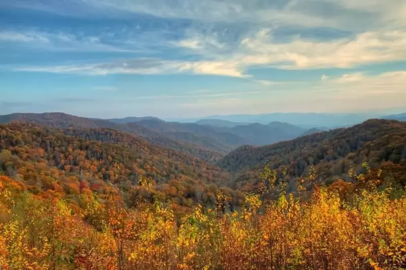 Breathtaking fall colors in the mountains near Pigeon Forge TN.