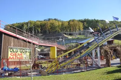 Goats on the roof coaster