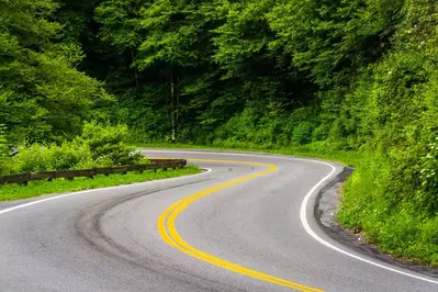 newfound gap road