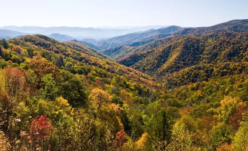 Fall colors near our Smoky Mountain condo rentals.