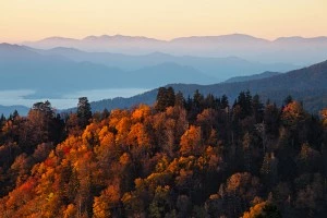 Autumn leaves in the mountains near our condos for rent in Pigeon Forge Tennessee.