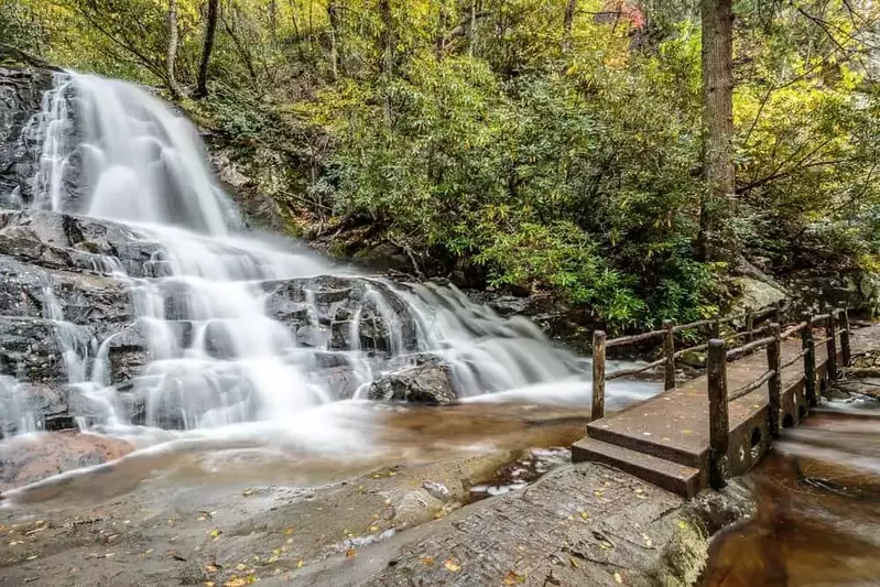 laurel falls hike in gsmnp