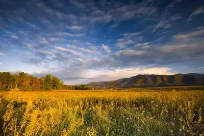 Autumn field in the Smoky Mountains