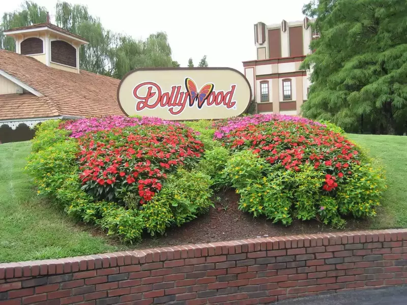 Dollywood shop