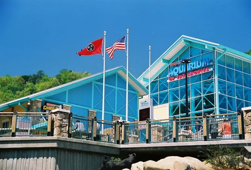 gatlinburg aquarium